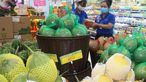 Bưởi da xanh rớt giá tại các chợ dân sinh