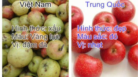 Nhận biết táo mèo Việt Nam ngon đúng chuẩn