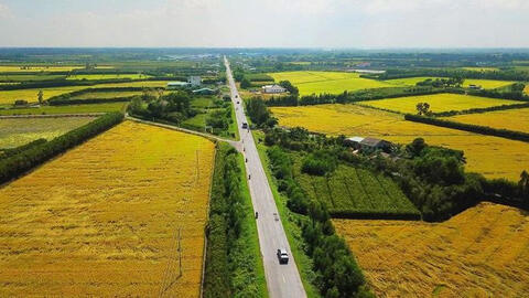Long An chuyển hơn 81 ha đất trồng lúa sang đất phi nông nghiệp