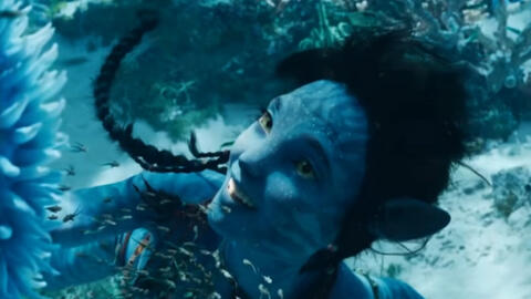 Avatar 2 với loạt chi tiết học hỏi từ Titanic, Disney