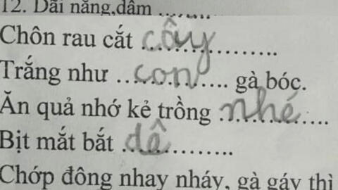 Bài kiểm tra tiếng Việt lớp 1 khiến người lớn ngậm ngùi "khó phết", đọc câu trả lời của học trò mà cười ngất