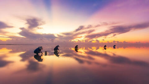 Khám phá “bãi biển vô cực” Thái Bình