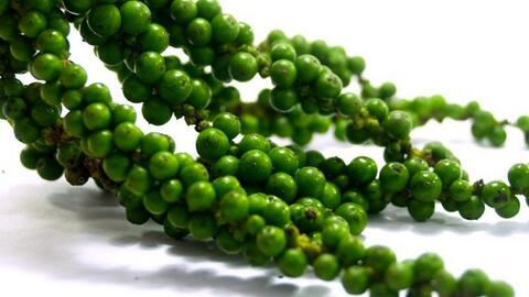 Giá tiêu cuối tuần không có nhiều biến động