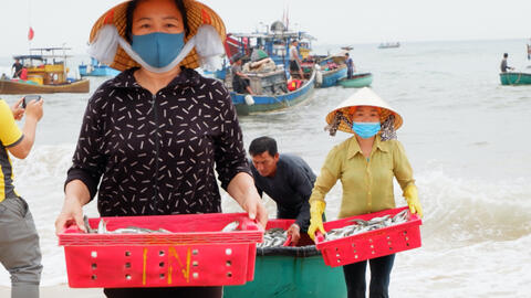 Chợ cá Nhân Trạch – nụ cười lao động sáng cùng ban mai trong nét đẹp cổ tích