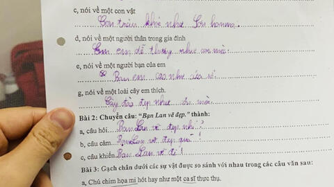 "Sang chấn" với bài tập tiếng Việt của học sinh lớp 3: Chú gà trống ngáy to như con lợn, nhưng đến đoạn tả cây đào mới cười ná thở