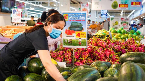 Dưa hấu rớt giá có nơi chỉ còn 2.000 đồng/kg vẫn không có người mua