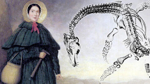 Mary Anning - Nữ cổ sinh vật học bị lãng quên