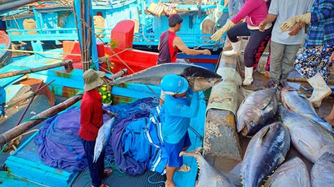 Đầu năm tàu cá cập bến mang "lộc" về cho đất liền