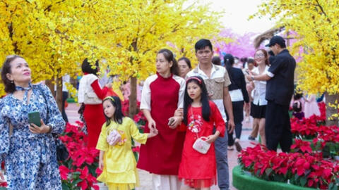 Ban Bí thư yêu cầu nhanh chóng đưa các hoạt động trở lại bình thường ngay sau nghỉ Tết