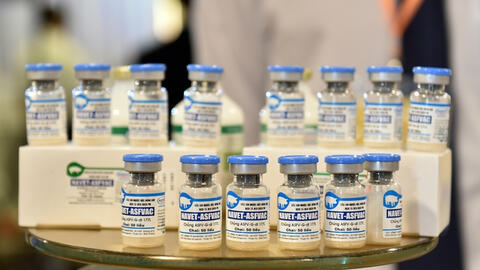 Việt Nam chính thức công bố lưu hành vaccine dịch tả lợn Châu Phi
