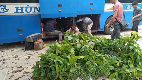 Nhóm Sách hóa nông thôn phát động dự án trồng cây, phổ biến tri thức bảo vệ môi trường