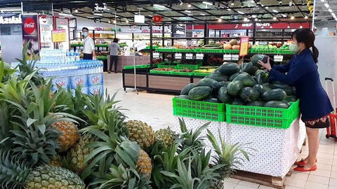 Dứa ở nhiều nơi được mùa, giá tăng