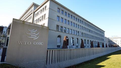 Lần đầu tiên WTO dành một nửa số ghế phó tổng giám đốc cho nữ giới