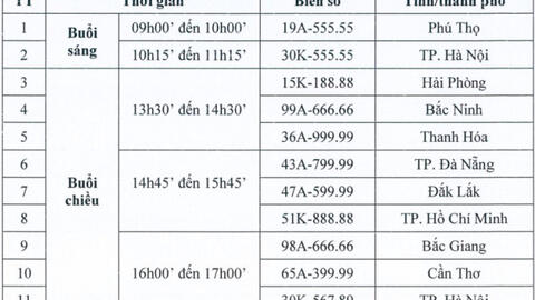 Sáng nay, đấu giá lại 11 biển số xe ô tô, người đã rút cọc có thể tiếp tục tham gia