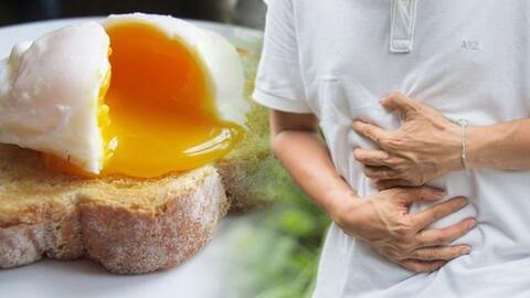 Vi khuẩn Salmonella trong mẫu bánh mì Phượng khiến hơn 140 người bị ngộ độc sinh sôi và lây nhiễm qua con đường nào?