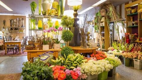 Top 10 nghề hái ra tiền dễ dàng mà không cần nhiều vốn