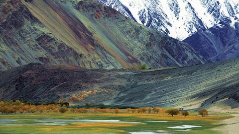 Ladakh, miền khắc nghiệt an nhiên