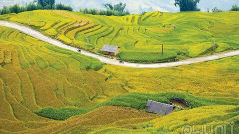 Nơi ấy, Y Tý