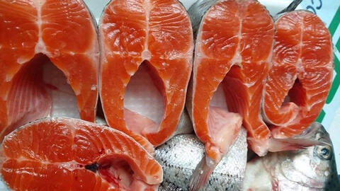 Giá cá hồi Sapa giảm sâu chưa từng có