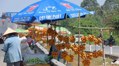 Thị trường thực phẩm 15/4: Thanh trà miền Tây giá 50.000-70.000 đồng/kg