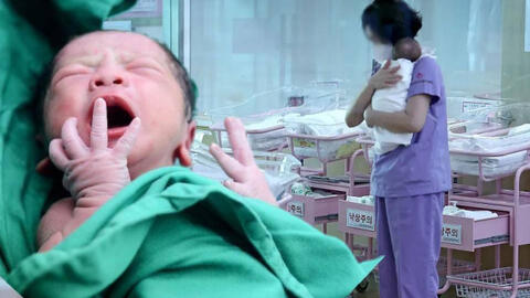 Tỷ lệ sinh thấp kỷ lục, nhân viên văn phòng Hàn Quốc có thể lĩnh gần 2 tỷ nếu sinh con, nhiều người vẫn băn khoăn