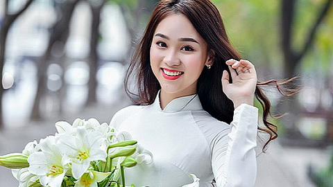 Tử vi công việc ngày 22/11 của 12 con giáp: Thìn hài lòng, Hợi gặp khó khăn