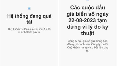 Vì sao Công ty Đấu giá Hợp danh Việt Nam được chọn tổ chức đấu giá biển số xe ô tô?