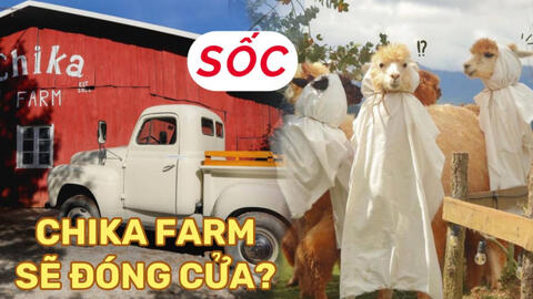 Chika Farm Đà Lạt bất ngờ thông báo đóng cửa dù đông khách, khiến dân tình vô cùng hoang mang