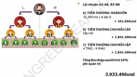 Greenleaf có dấu hiệu kinh doanh đa cấp trái phép