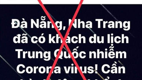 Đại dịch... tin vịt!