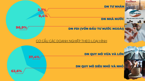 Doanh nghiệp Việt Nam 2020 qua các con số