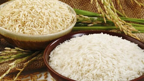 Gạo xuất khẩu Ấn Độ hút khách do giá thấp