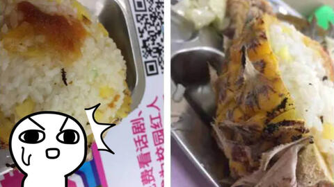 Học bá phát hiện côn trùng lạ trong cơm canteen, đọc thư khiếu nại mà choáng váng: Người học giỏi đi kiện cũng ở level khác!