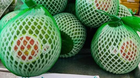 Bưởi da xanh Việt Nam bán ở Mỹ giá đến hơn 500.000 đồng/kg