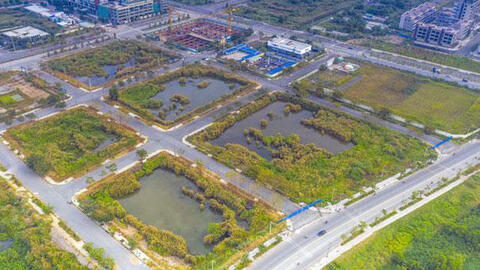 Yêu cầu các ngân hàng cung cấp tài liệu về tín dụng cho các chủ thể tham gia đấu giá đất Thủ Thiêm