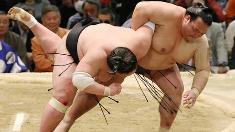 Làm thế nào để trải nghiệm một trận đấu sumo ở Nhật Bản?