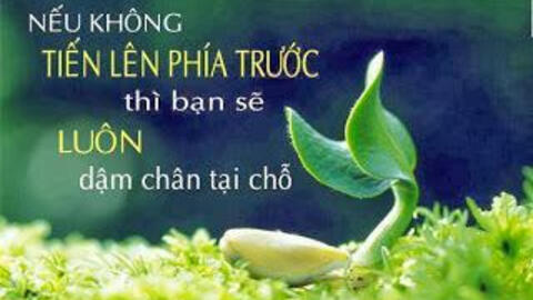 Tử vi hàng ngày 31.12.2019 của 12 con giáp: Hợi nên đầu tư, Dậu công việc tiến triển tích cực