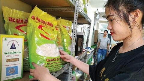 Việt Nam có nguy cơ bị cấm tham gia cuộc thi Gạo ngon nhất thế giới