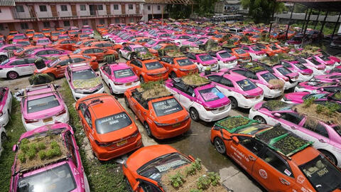 Ế ẩm vì COVID-19, taxi bỏ không biến thành vườn rau ở Thái Lan