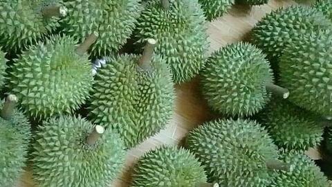 Giá thực phẩm ngày 29/6: Sầu Riêng Ri6 75.000 đồng/kg, Cái Mơn 70.000 đồng/kg