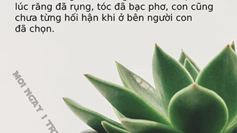 Tử vi hàng ngày 3/2/2020 của 12 cung hoàng đạo: Thiên Bình may mắn, Xử Nữ phạm sai lầm