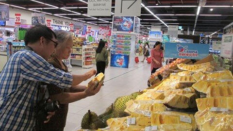 Giá mít Thái thấp kỷ lục chỉ còn 500 đồng/kg