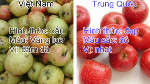 Cách phân biệt táo mèo ta và Trung Quốc
