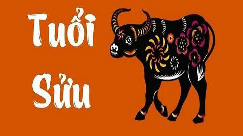 Tử vi các tháng năm 2022 tuổi Sửu: Vượng vận quý nhân giúp đỡ, có cơ hội đầu tư lớn