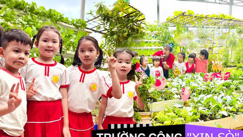 Mê mẩn vườn rau, khu vui chơi trên sân thượng của một trường mầm non công lập: Không gian xanh mướt, rau củ không thiếu gì