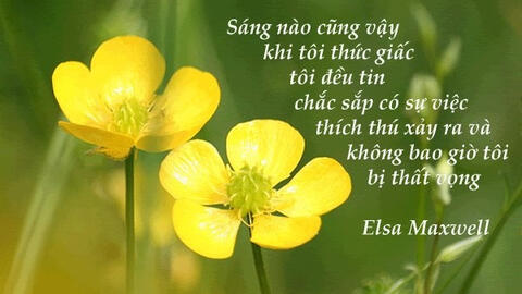 Tử vi hàng ngày 7.1.2020 của 12 con giáp: Sửu có triển vọng nghề nghiệp, Thìn tài chính rất tốt
