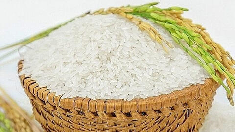 Gạo xuất khẩu Ấn Độ tăng cao kỷ lục