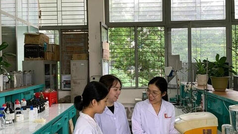TS. Vũ Thị Tần và chiếc máy rửa bát "Made in Việt Nam"