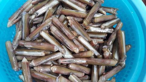 Giá thực phẩm ngày 20/7: Ốc móng tay 120.000 đồng/kg
