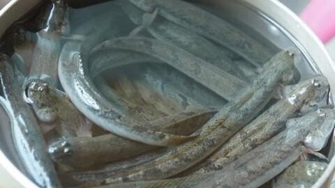 Giá thực phẩm ngày 9/6: Cá kèo 180.000 đồng/kg